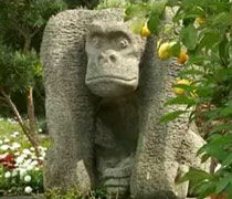 Gorilla aus Stein